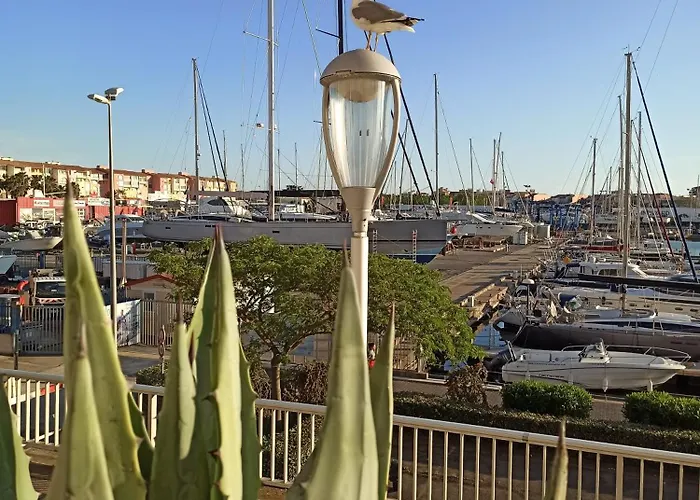 Vue Degagee Et Terrasse, 4 Pers, Piscine, Parking, Entre Port Et アパート *